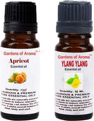 

Gardens Of Aroma Apricot And Ylang Ylang(20 ml)