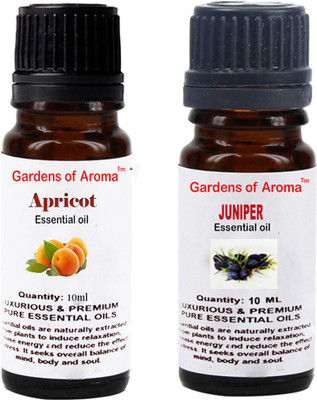 

Gardens Of Aroma Apricot And Juniper(20 ml)