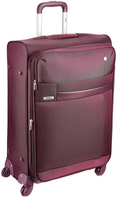 vip check in luggage