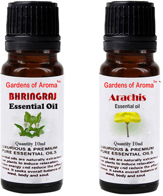 

Gardens Of Aroma Bhringraj And Arachis(20 ml)