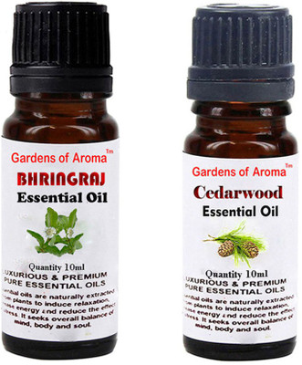 

Gardens Of Aroma Bhringraj And Cedarwood(20 ml)