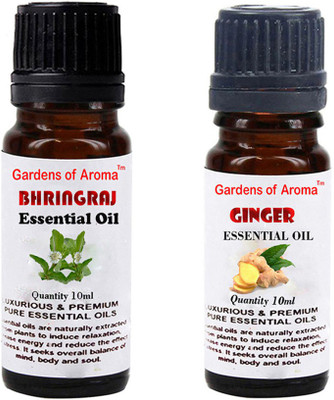 

Gardens Of Aroma Bhringraj And Ginger(20 ml)