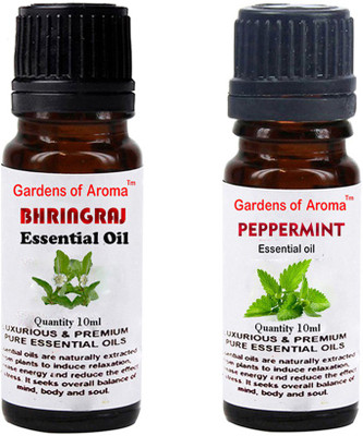 

Gardens Of Aroma Bhringraj And Peppermint(20 ml)