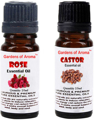 

Gardens Of Aroma Rose And Castor(20 ml)
