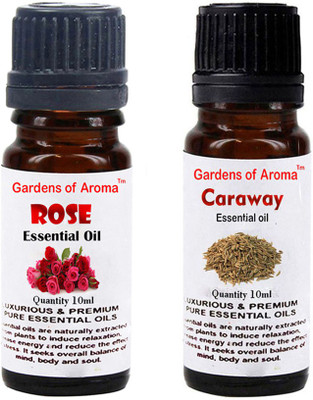 

Gardens Of Aroma Rose And Caraway(20 ml)