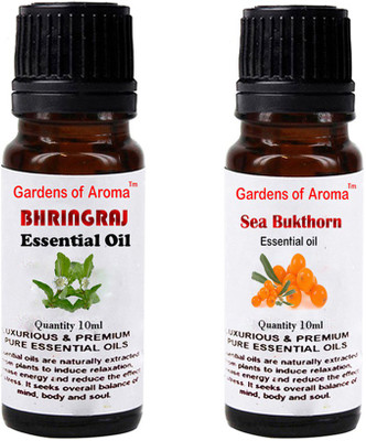 

Gardens Of Aroma Bhringraj And Seabukthorn(20 ml)