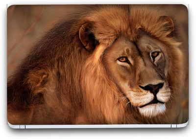 

Flipkart SmartBuy Lion Vinyl Laptop Skin (3M/Avery Vinyl, Matte Laminated, 14 x 9 inches) Vinyl Laptop Decal 14.1