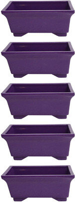 

SHOPTICO Plant Container Set(Pack of 5, Plastic)