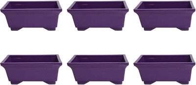 

SHOPTICO Plant Container Set(Pack of 6, Plastic)