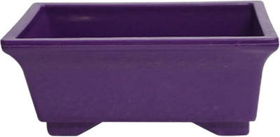 

SHOPTICO Plant Container Set(Plastic)
