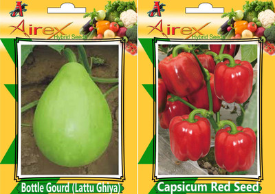 

Airex Bottle Gourd (Lattu Ghiya) and Capsicum Red Seed (Pack of 30 Seed Bottle Gourd (Lattu Ghiya) + 30 Seed Capsicum Red) Seed Seed(60 per packet)