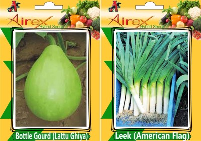 Airex Bottle Gourd (Lattu Ghiya) and Leek (American Flag) Seed (Pack of 25 Seed Bottle Gourd (Lattu Ghiya) + 25 Seed Leek (American Flag) Seed Seed(50 per packet)