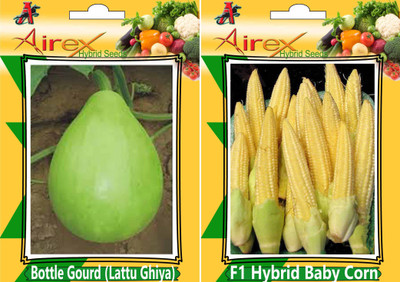 

Airex Bottle Gourd (Lattu Ghiya) and F1 Hybrid Baby Corn Seed (Pack of 20 Seed Bottle Gourd (Lattu Ghiya) + 20 Seed F1 Hybrid Baby Corn)Seed Seed(40 per packet)