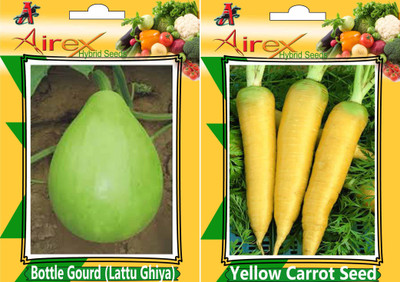 

Airex Bottle Gourd (Lattu Ghiya) and Yellow Carrot Seed (Pack of 30 Seed Bottle Gourd (Lattu Ghiya) + 30 Seed Yellow Carrot)Seed Seed(60 per packet)