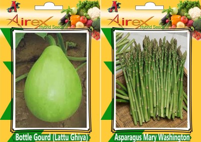 Airex Bottle Gourd (Lattu Ghiya) and Asparagus Mary Washington (Hybrid) Seed (Pack of 25 Seed Bottle Gourd (Lattu Ghiya) + 10 Seed Asparagus Mary Washington (Hybrid) Seed Seed(35 per packet)