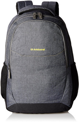 

Aristocrat LPBPDIO3 22 L Backpack(Grey)