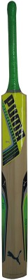 

Puma Evo Speed 2 Chromium KASHMIR WILLOW Kashmir Willow Cricket Bat(Long Handle, 600)