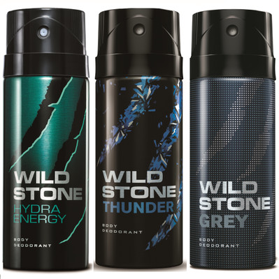 

Wild Stone Hydra Energy, Thunder & Grey Deo Combo Deodorant Spray - For Men(450 ml, Pack of 3)