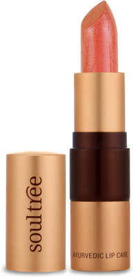 

SoulTree Ayurvedic Lipstick - 817 Cantaloupe Colour(Cantaloupe, 4.5 g)