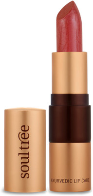 

SoulTree Ayurvedic Lipstick - 813 True Brick Colour(True Brick, 4.5 g)