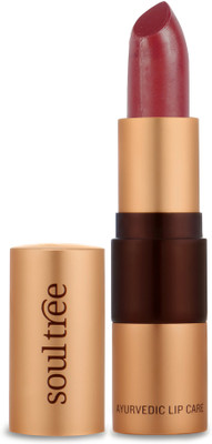 

SoulTree Ayurvedic Lipstick - 811 Wild Honey Colour(Wild Honey)