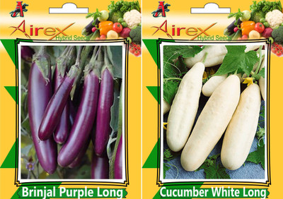 

Airex Brinjal Purple Long and Cucumber White Long Seed (Pack of 15 Seed Brinjal Purple Long + 15 Seed Cucumber White Long) Seed Seed(30 per packet)