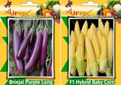 

Airex Brinjal Purple Long and F1 Hybrid Baby Corn Seed (Pack of 25 Seed Brinjal Purple Long + 25 Seed F1 Hybrid Baby Corn)Seed Seed(50 per packet)