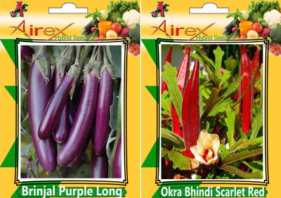 

Airex Brinjal Purple Long and Okra Bhindi Scarlet Red Seed (Pack of 15 Seed Brinjal Purple Long + 15 Seed Okra Bhindi Scarlet Red)Seed Seed(30 per packet)