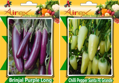 

Airex Brinjal Purple Long and Chilli Pepper Santa FE Grande (Hybrid) Seed (Pack of 25 Seed Brinjal Purple Long + 25 Seed Chilli Pepper Santa FE Grande (Hybrid) Seed Seed(50 per packet)