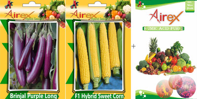 

Airex Brinjal Purple Long and F1 Hybrid Sweet Corn Seed + Humic Acid Fertilizer (For Growth of All Plant and Better Responce) 15 gm Humic Acid + Pack of 50 Seed Brinjal Purple Long + 30 Seed F1 Hybrid Sweet Corn)Seed Seed(100 per packet)
