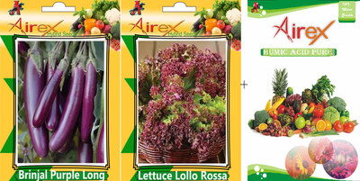 

Airex Brinjal Purple Long and Lettuce Lollo Rossa Seed + Humic Acid Fertilizer (For Growth of All Plant and Better Responce) 15 gm Humic Acid + Pack of 50 Seed Brinjal Purple Long + 50 Seed Lettuce Lollo Rossa)Seed Seed(100 per packet)