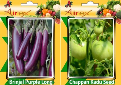 Airex Brinjal Purple Long and Chappan Kadu Seed (Pack of 30 Seed Brinjal Purple Long + 30 Seed Chappan Kadu Seed Seed(60 per packet)