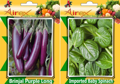 

Airex Brinjal Purple Long and Imported Baby Spinach Seed (Pack of 20 Seed Brinjal Purple Long + 20 Seed Imported Baby Spinach Seed Seed(40 per packet)