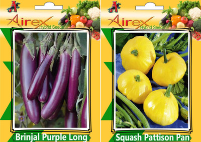 

Airex Brinjal Purple Long and Squash Pattison Pan Seed (Pack of 20 Seed Brinjal Purple Long + 10 Seed Squash Pattison Pan Seed Seed(40 per packet)