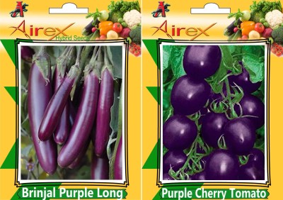 Airex Brinjal Purple Long and Purple Cherry Tomato Seed (Pack of 30 Seed Brinjal Purple Long + 30 Seed Purple Cherry Tomato) Seed Seed(60 per packet)