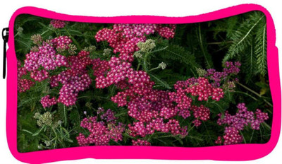 

Snoogg Eco Friendly Canvas Red And Green Flowers Designer Student Pen Pencil Case Coin Purse Pouch Cosmetic Makeup Bag (PINK) Pouch(Multicolor)