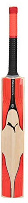 Puma EVO SPEED 7.1 ENGLISH WILLOW English Willow Cricket Bat(600
