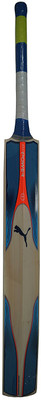 Puma Evo Power 2 KASHMIR WILLOW Kashmir Willow Cricket Bat(600