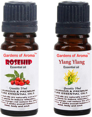

Gardens Of Aroma Rosehip And Ylang Ylang(20 ml)