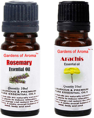 

Gardens Of Aroma Rosemary And Arachis(20 ml)