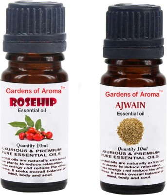 

Gardens Of Aroma Rosehip And Ajwain(20 ml)