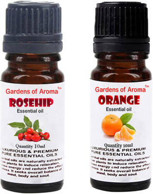 

Gardens Of Aroma Rosehip And Orange(20 ml)
