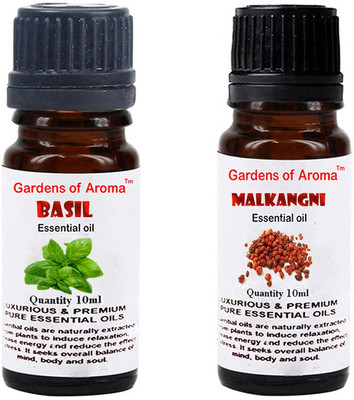 

Gardens Of Aroma Basil And Malkangani(20 ml)