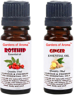 

Gardens Of Aroma Rosehip And Ginger(20 ml)