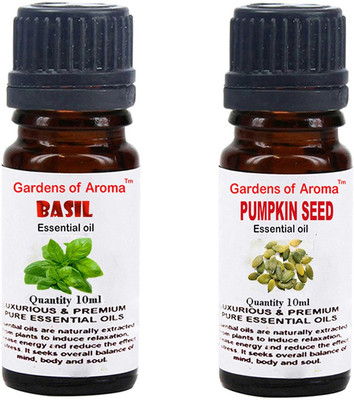 

Gardens Of Aroma Basil And Pumkinseed(20 ml)