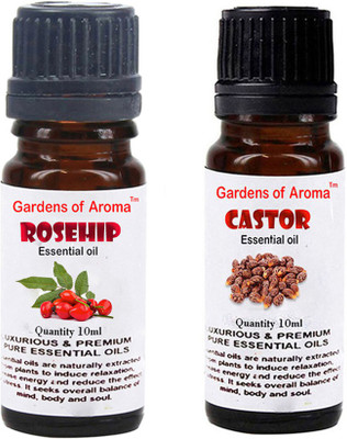 

Gardens Of Aroma Rosehip And Castor(20 ml)