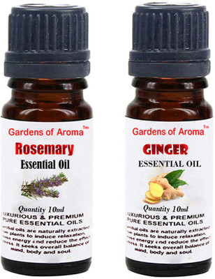 

Gardens Of Aroma Rosemary And Ginger(20 ml)