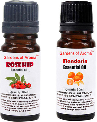 

Gardens Of Aroma Rosehip And Mandarian(20 ml)