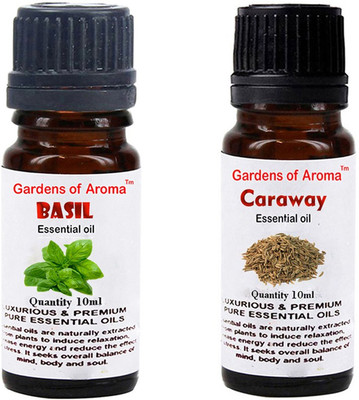

Gardens Of Aroma Basil And Caraway(20 ml)