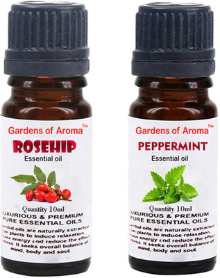 

Gardens Of Aroma Rosehip And Peppermint(20 ml)